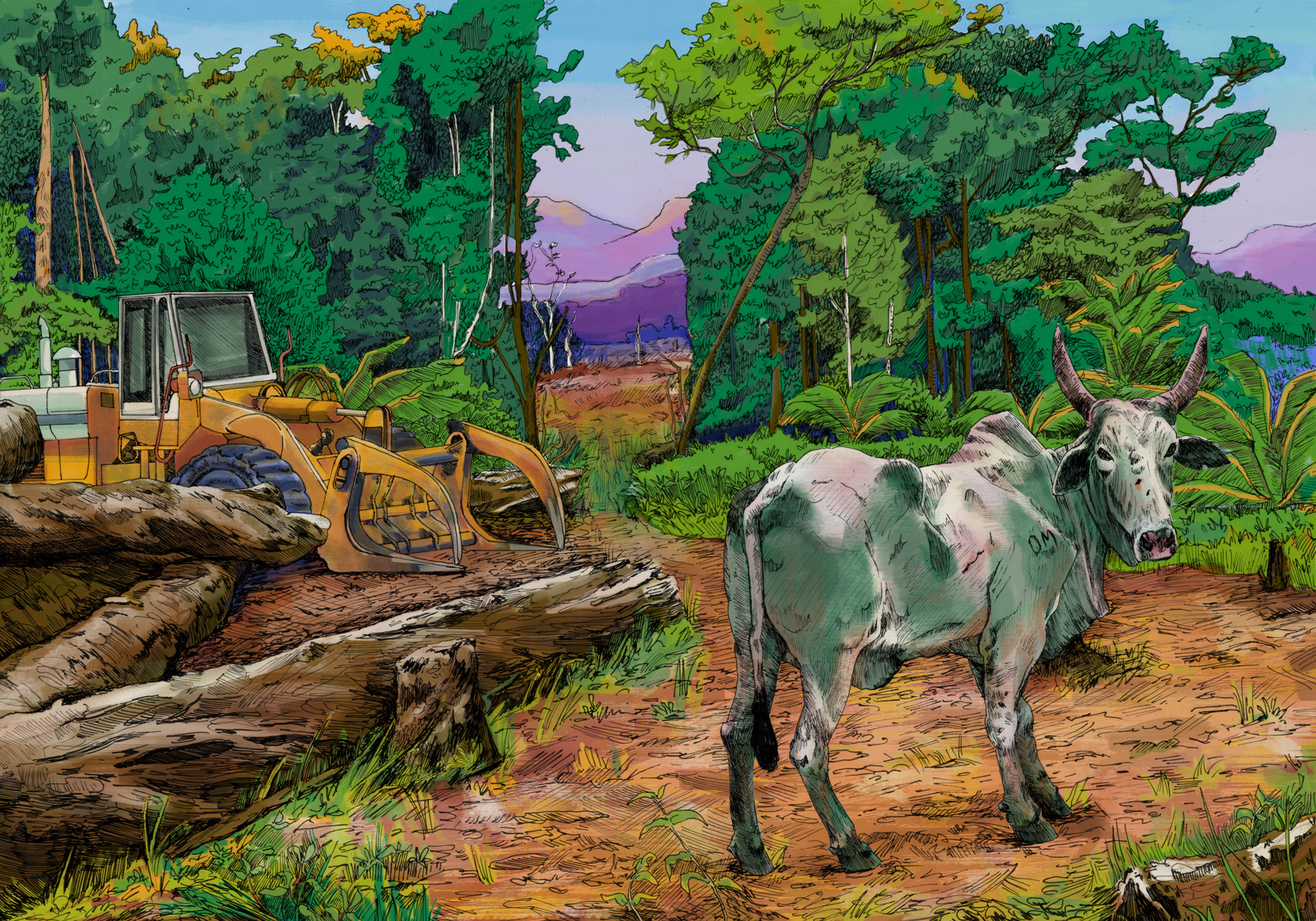 Cutting Down for Cattle