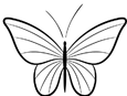 transparent-background-butterfly-illustration-vector-removebg-preview.png
