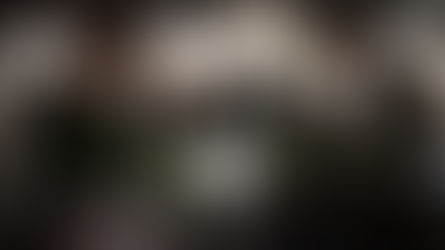 Wolf and Badger Event