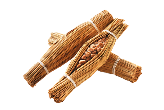 shutterstock_1337610026_edited.png