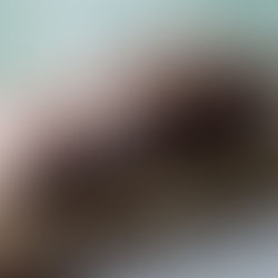 Čokoládový dort s krémem