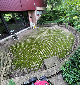 Pressure wash 2 .HEIC