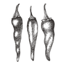Chili Peppers