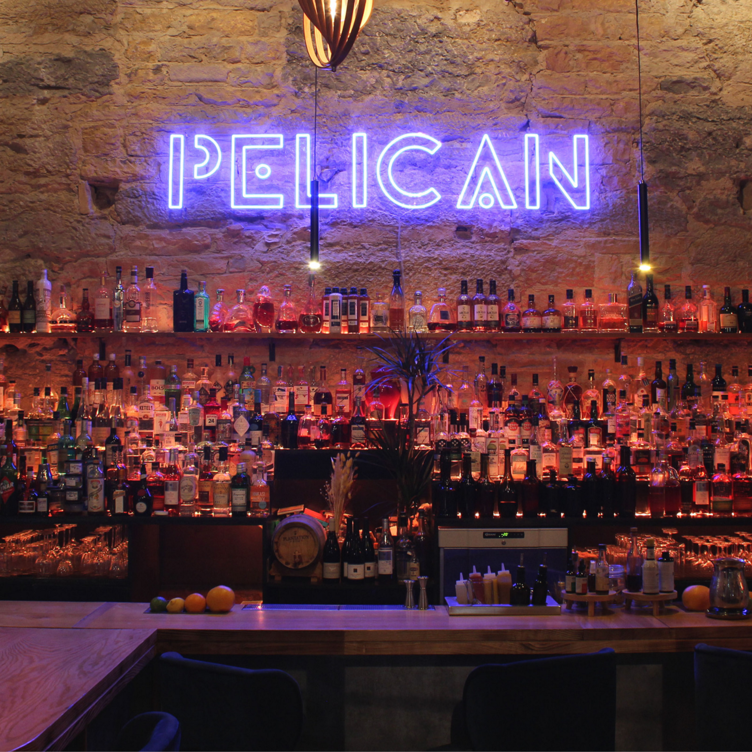 Pelican à Lyon