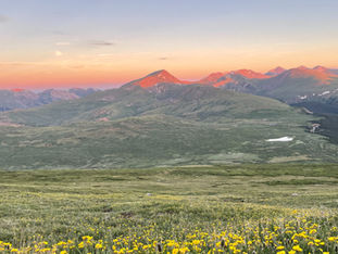 A mountain landscape with yellow flowers at sunset