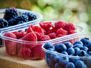 The Treeline Endurance Guide to Eating While Running