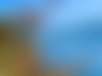 2023 Backcountry Rise 50 Mile: Race Report