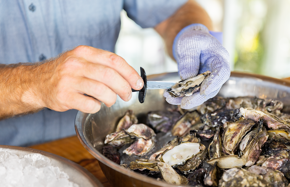 The Farm Straddie Oysters Moreton Bay Sea Farms Dunwich