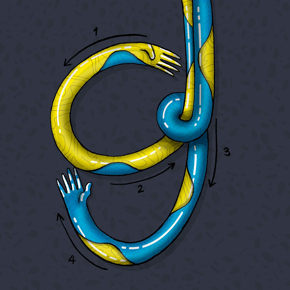 9 copia
