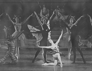ballerinas in butterfly and flower costumes on stage in the Nutcracker