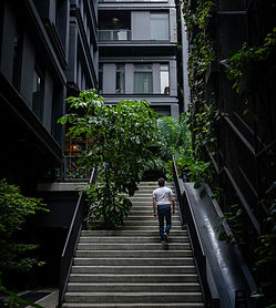 alexandra-tran-6WgSCTucGwc-unsplash_edited.jpg