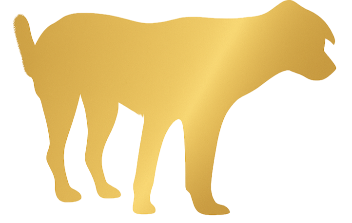 Golden dog silhouette for Cora’s Woodland.