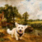 Small white dog in a landscape from the dog art archive