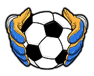 glove_and_ball_logo-removebg-preview (1).png