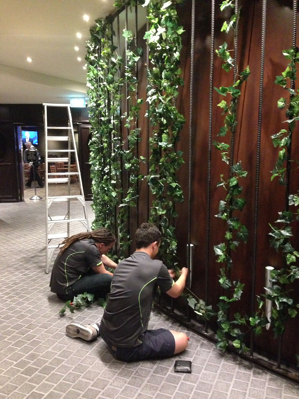 Plantscaping Maintenance Vertical Garden