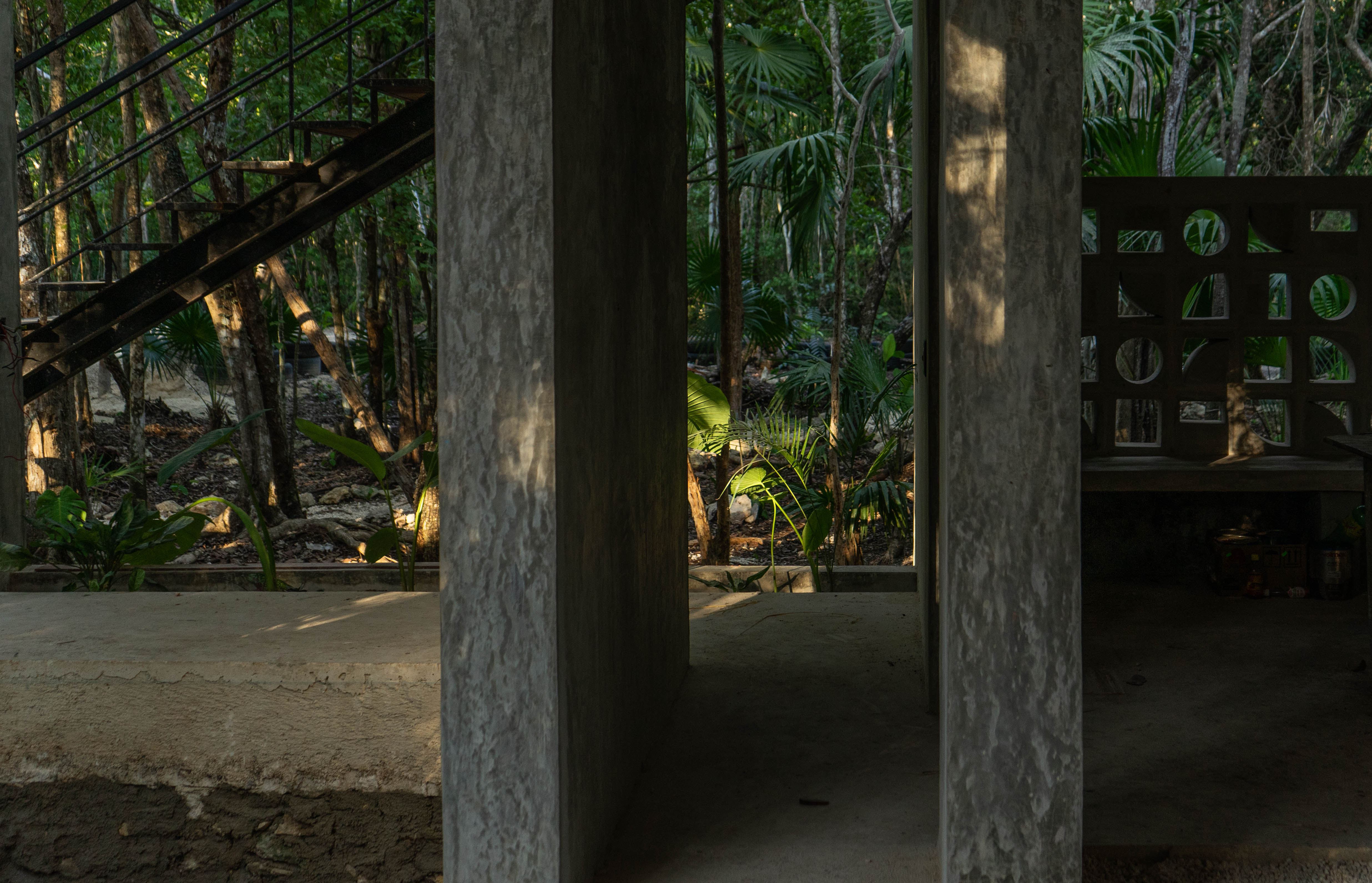 colibri4 (116 of 231).jpg