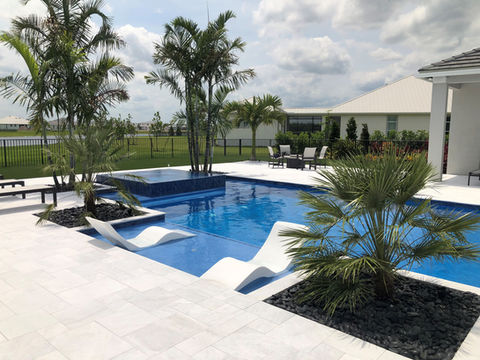 A modern pool with palm trees, a raised spa, and built-in lounge chairs on a shallow tanning ledge, surrounded by a white-tiled patio.