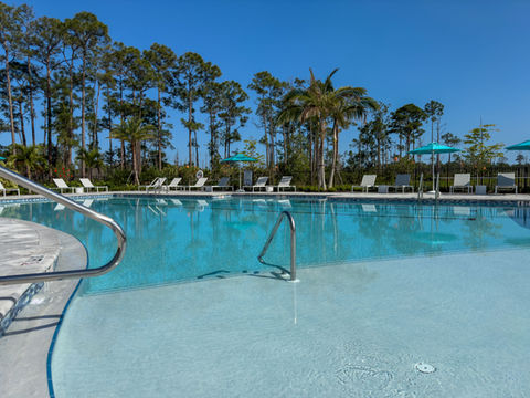 A large, free-form commercial pool, with a large sun shelf, handrails, and a swim lane.