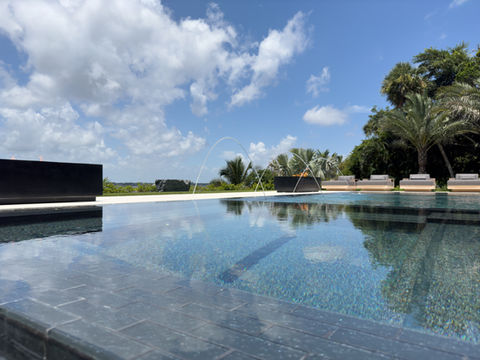 An infinity-edge pool with water arches, a fire feature, and lounge seating, set against a backdrop of palm trees and blue skies.