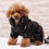Miniaturbild: Winter Pet Kleidung Welpen Hund Kleidung vierbeinigen Baumwolle
