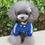 Miniaturbild: XS-XXL Haustier Hund Kleidung Warm Dog Jumpsuit Katze Welpen