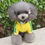 Miniaturbild: XS-XXL Haustier Hund Kleidung Warm Dog Jumpsuit Katze Welpen