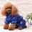 Miniaturbild: Winter Pet Kleidung Welpen Hund Kleidung vierbeinigen Baumwolle