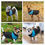 Miniaturbild: Neue kleine und Extra großen Hund wasserdichte warme Jacke Jacke