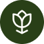 Icon (2).png