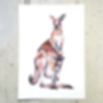 Kangaroo & Joey