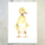 Duckling Tall