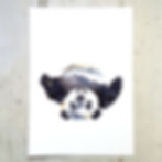 Panda Back
