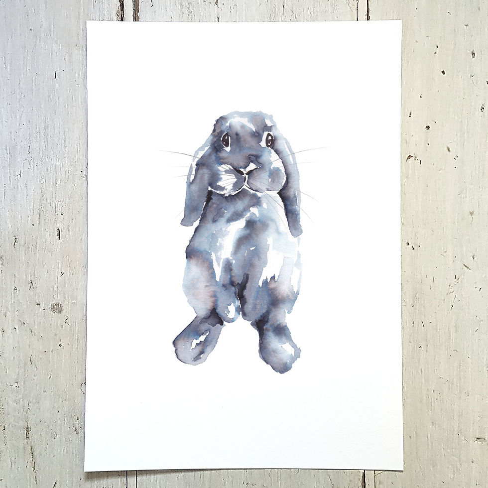 Rabbit Standing
