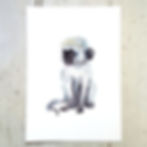 Monkey