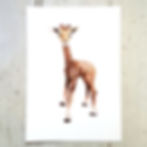 Giraffe Side