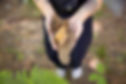 WonderInTheWoods_188.jpg