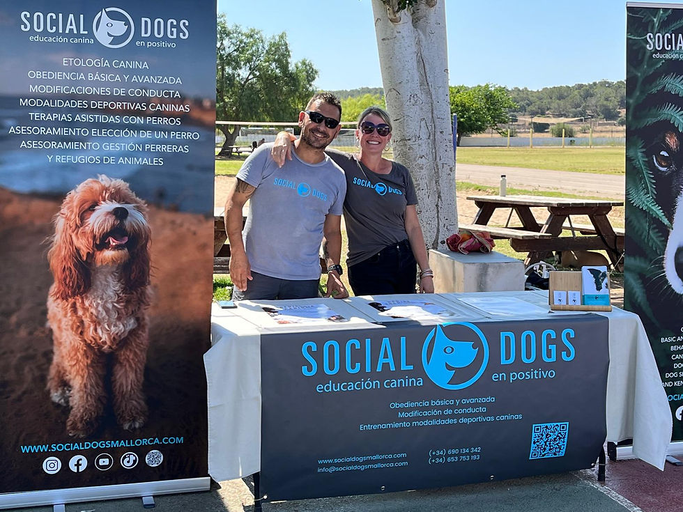 We don't change dogs. We change the way people understand them.