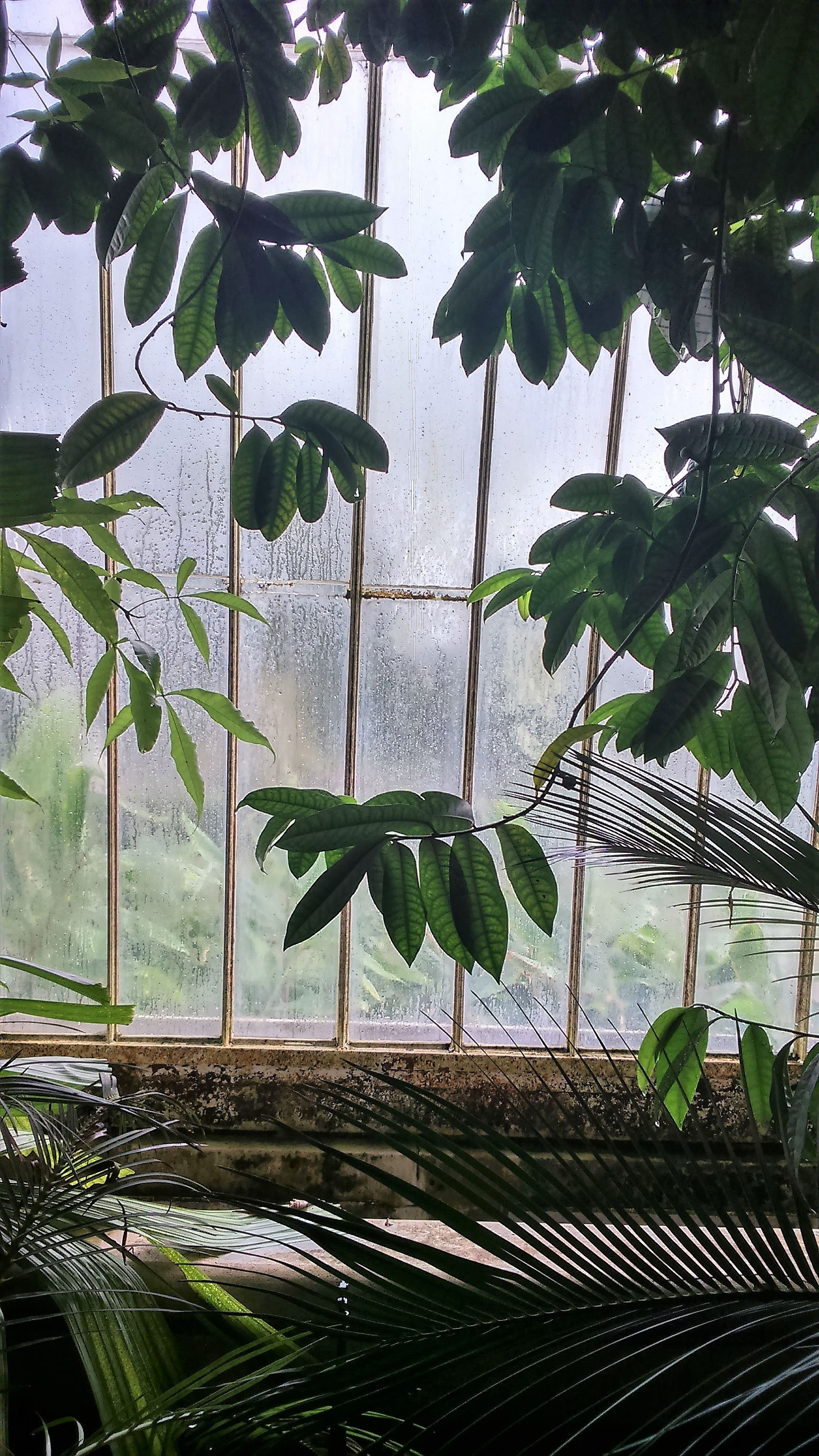 An afternoon at Kew Gardens