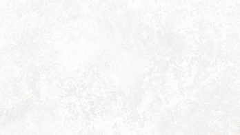 BIB23 Site Header (2).png