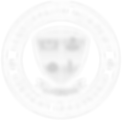 transparent logo_edited.png