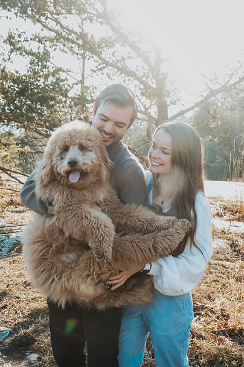 Goldendoodle, dog training, puppy training