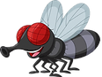 cartoon-house-fly-isolated-white-backgro