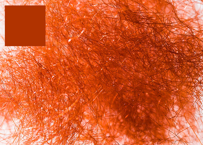 Thumbnail: Ant Brown