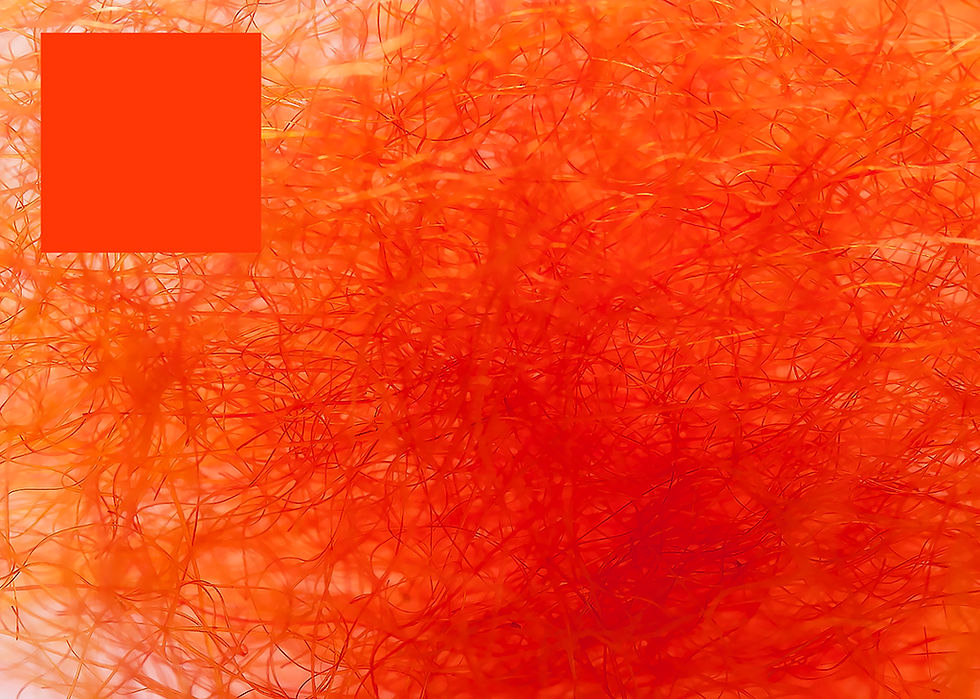 Thumbnail: Orkney Peach