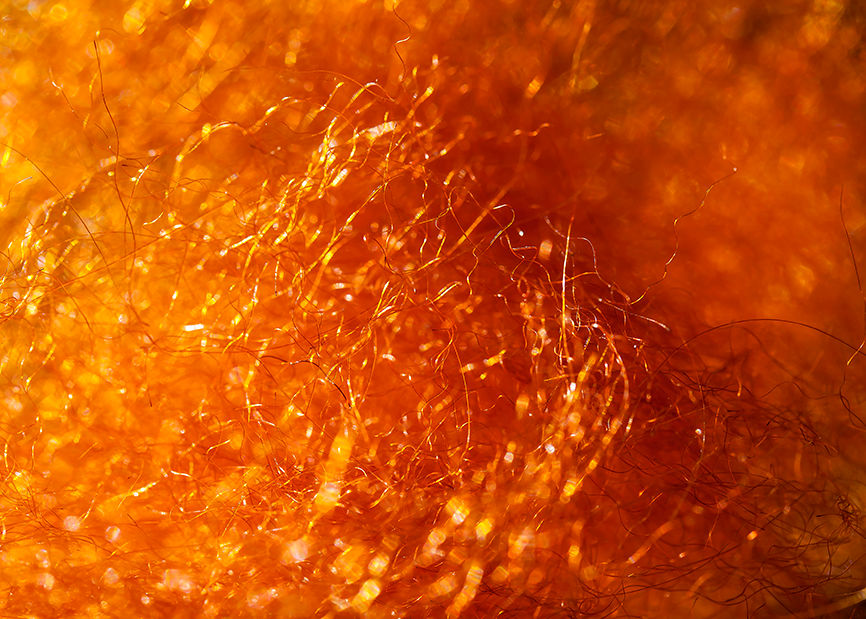 Thumbnail: Deep Ginger