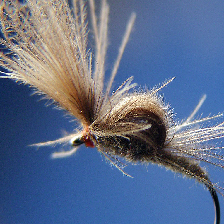 CDC Emerger