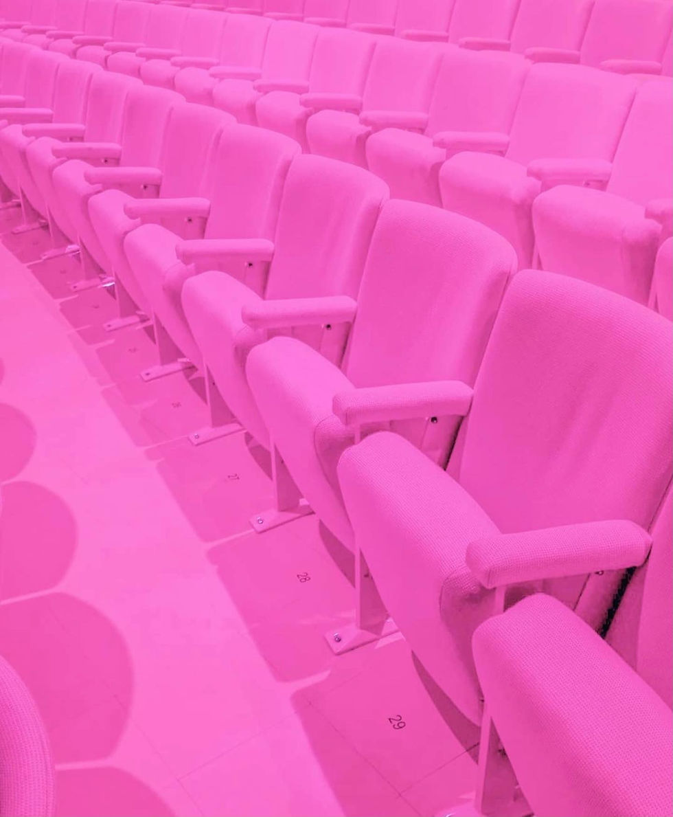 Photo of a totally pink fuchsia theater, showing the lines of theatre chairs and their details, as well as the pink carpet | Credits Tom Windeknecht | Visual thoughts around the word Educate, from the conceptual mood board, with photos from art, fashion and lifestyle photography