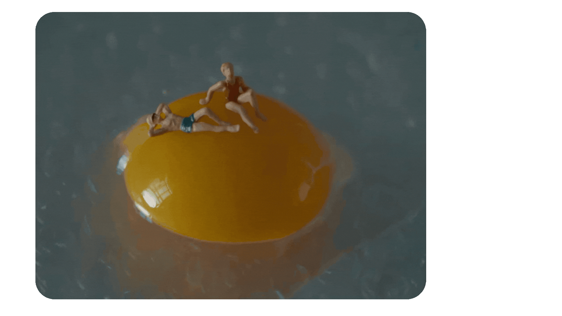 8.gif