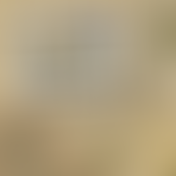 Rediscovering the Past: Navigating the Landscape of Nostalgia