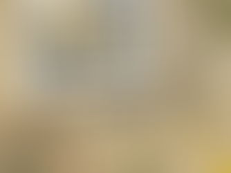 Rediscovering the Past: Navigating the Landscape of Nostalgia